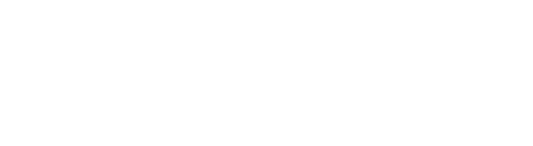 Premier Healthcare Partners logo